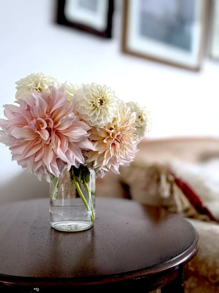 A clear glass jar filled with pink, peach, and white dahlia blooms.